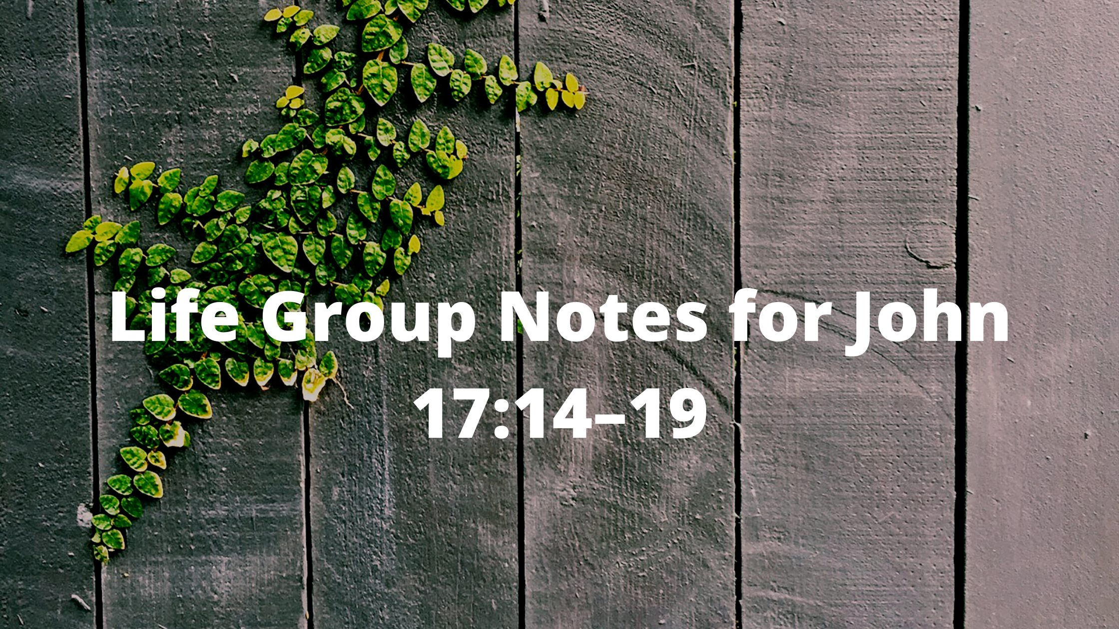 Life Group Notes for John 17:14–19