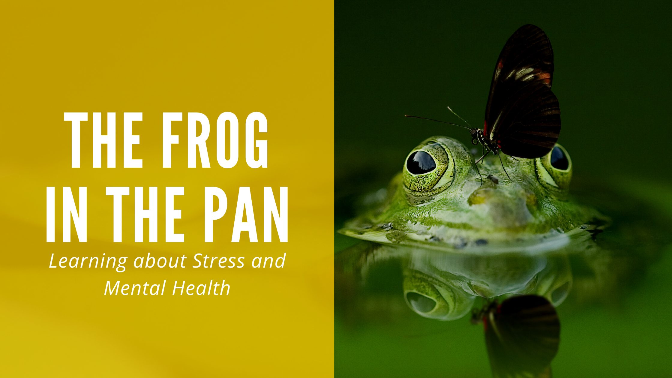 The Frog in the Pan